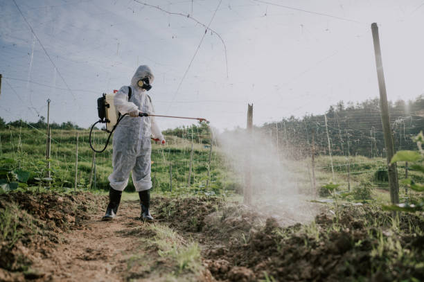 Best Pest Removal Services  in Ferdand, IN