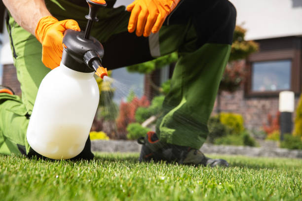 Best Pest Inspection Near Me  in Ferdand, IN