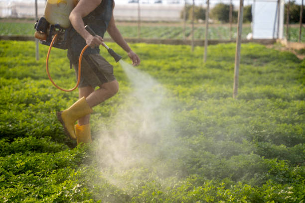 Best Residential Pest Control  in Ferdand, IN