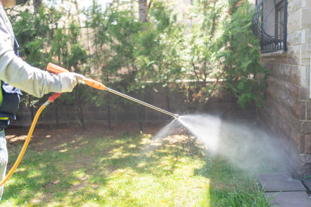 Pest Control for Restaurants in Ferdinand, IN