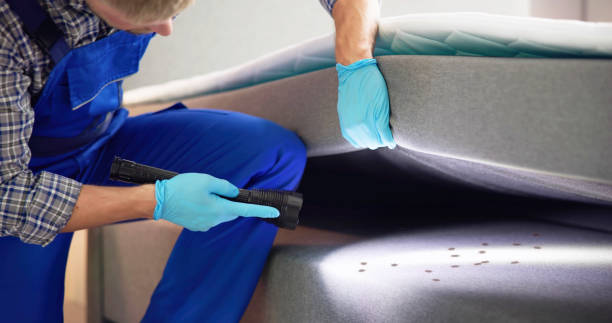 Best Ant Control Services  in Ferdand, IN