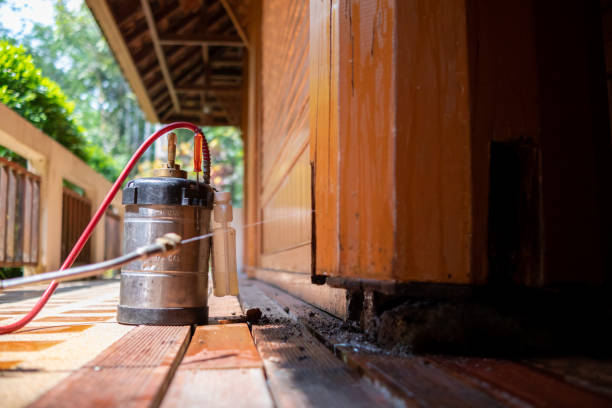 Best Pest Prevention Services  in Ferdand, IN
