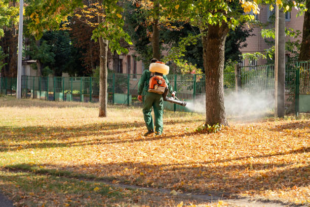 Best Flea Control Services  in Ferdand, IN