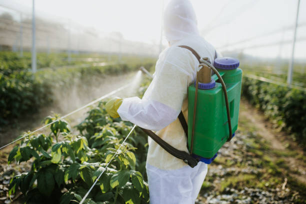 Best Bed Bug Extermination  in Ferdand, IN